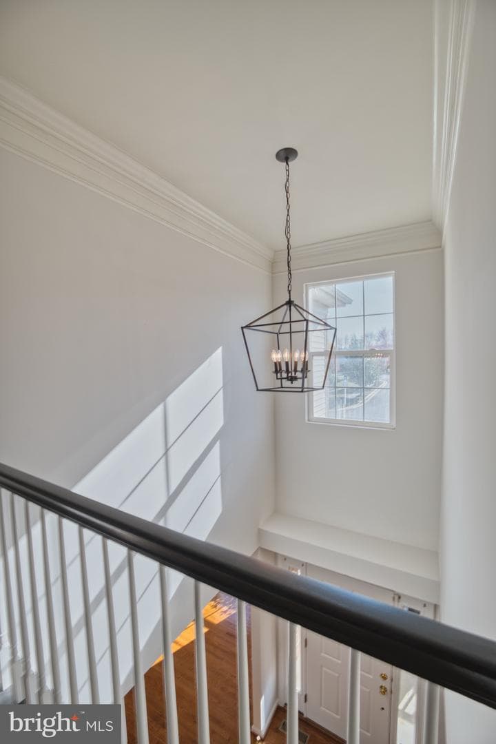 120 Brook Knoll Way photo 17