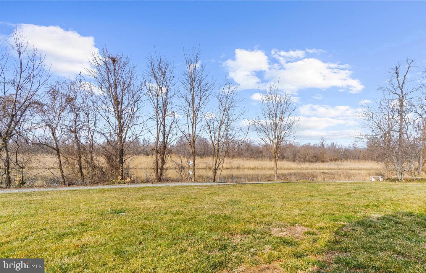 1305 Marion Quimby Drive photo 39