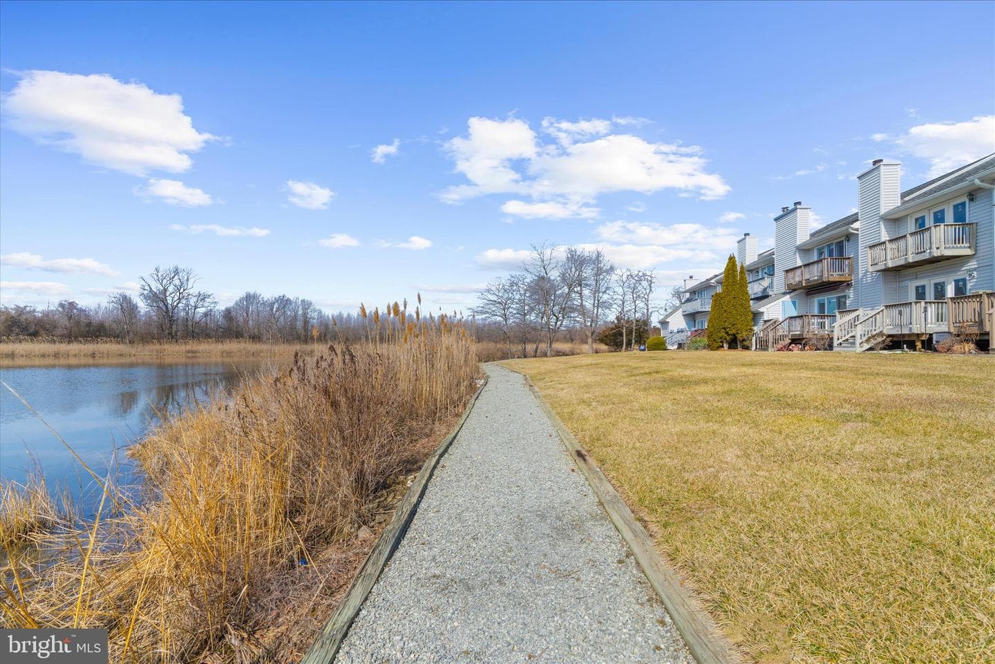 1305 Marion Quimby Drive photo 59