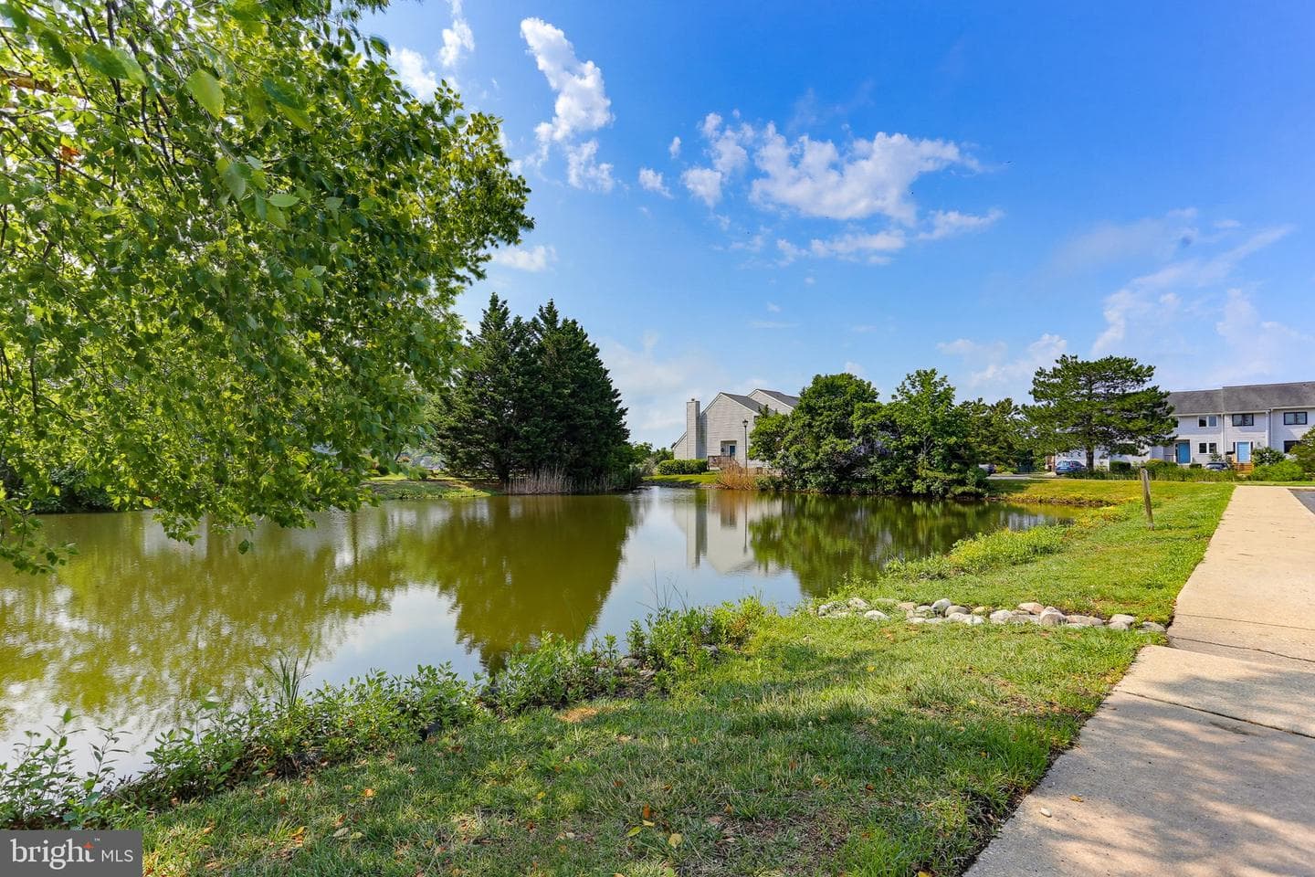 1305 Marion Quimby Drive photo 81