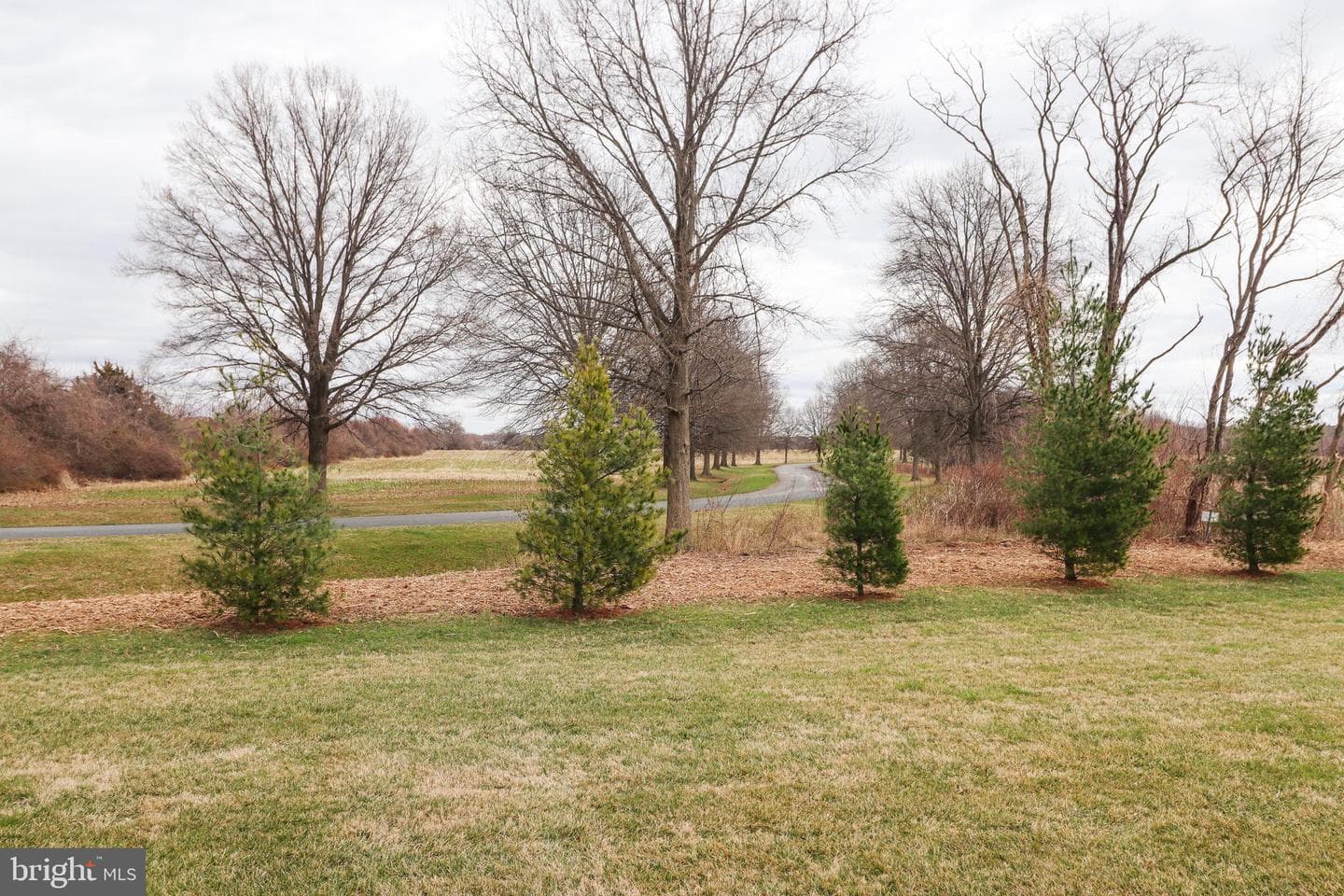 784 Moorings Circle photo 47