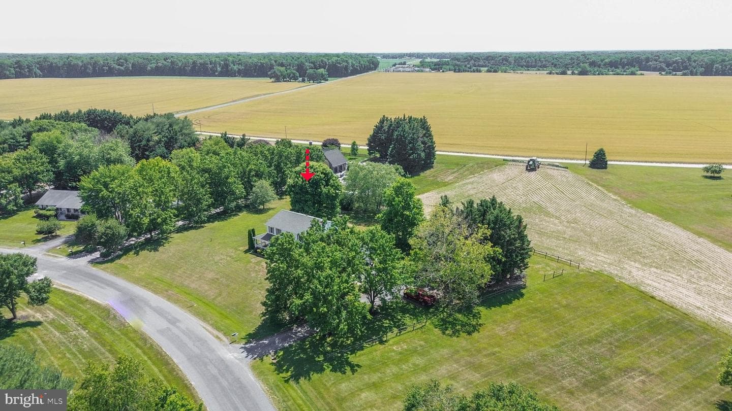 107 Chestnut Lane photo 20