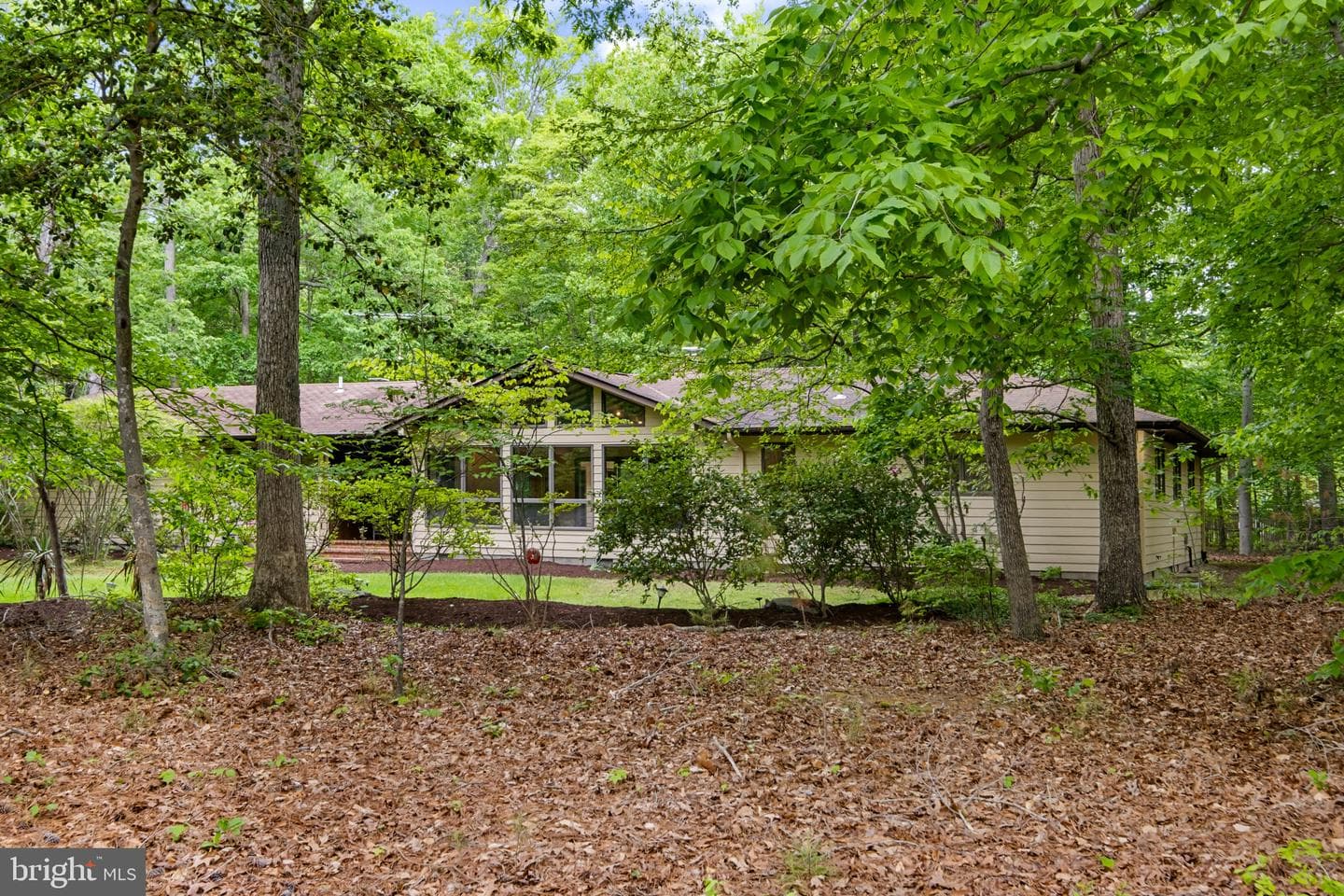 113 Marlborough Road photo 30