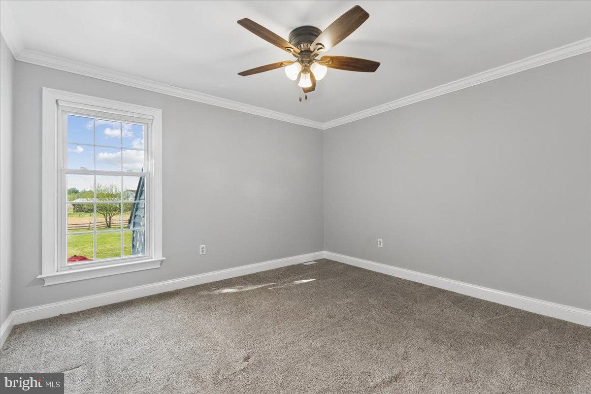 117 Overlook Drive photo 35