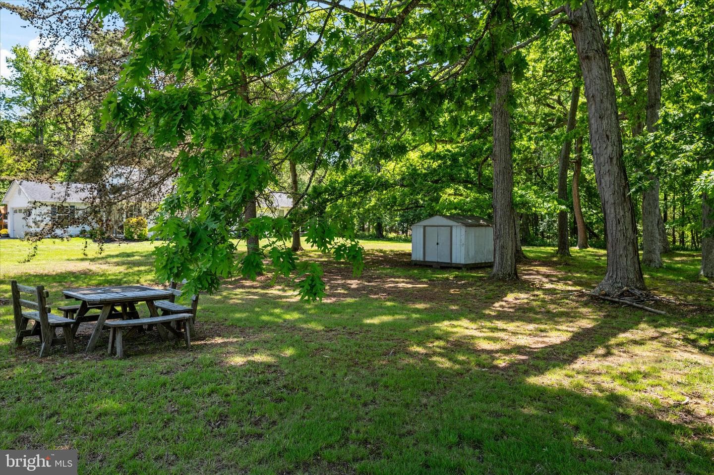 117 Rebel Road photo 30