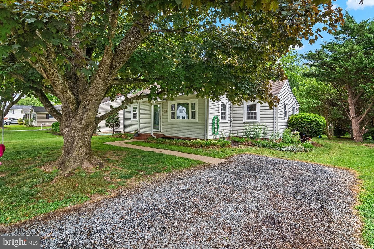 313 Oak Street photo 21