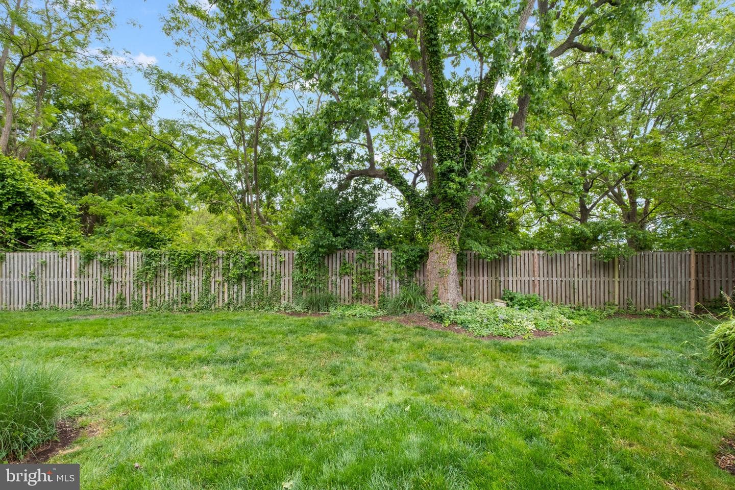 54 Queen Caroline Court photo 30