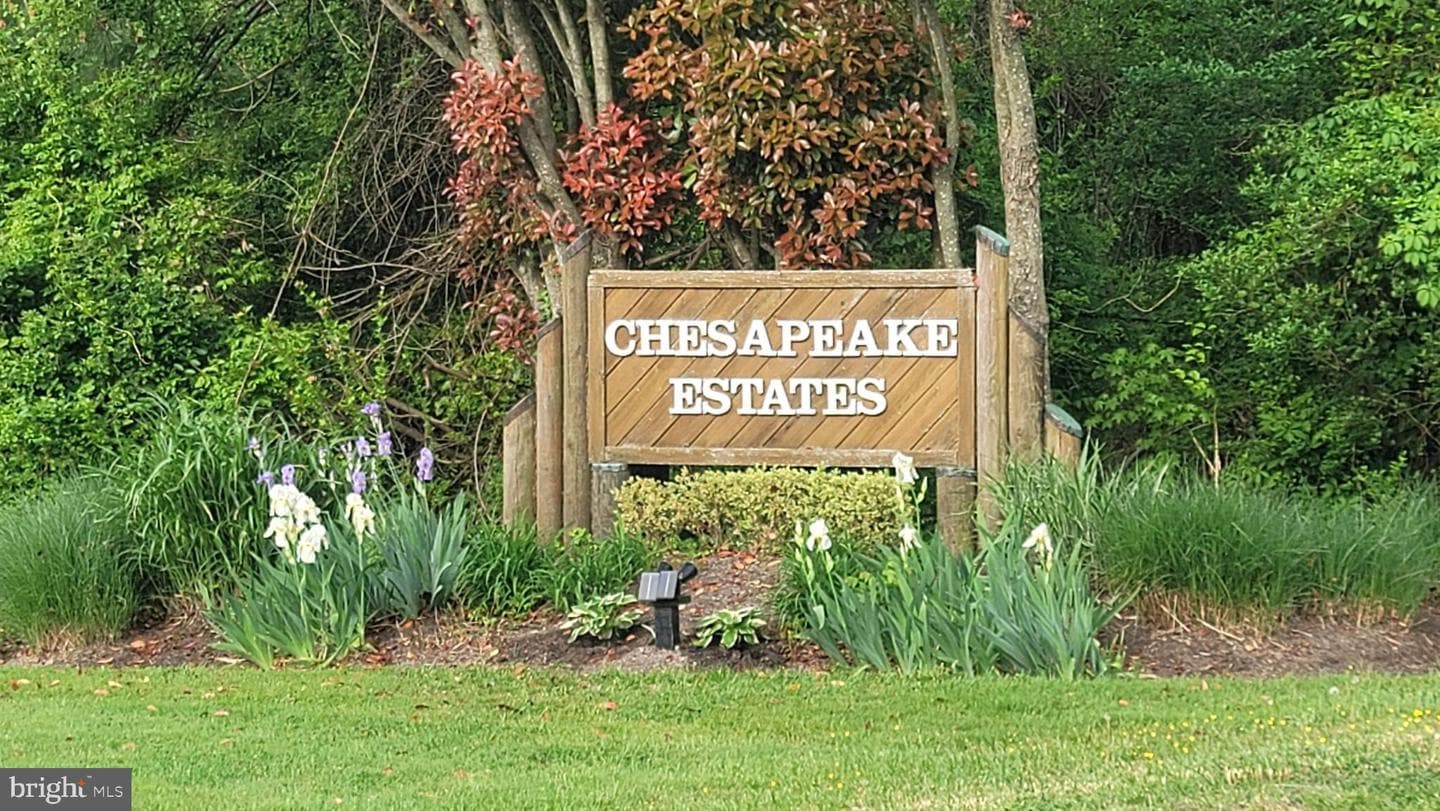 107 Chestnut Road photo 9