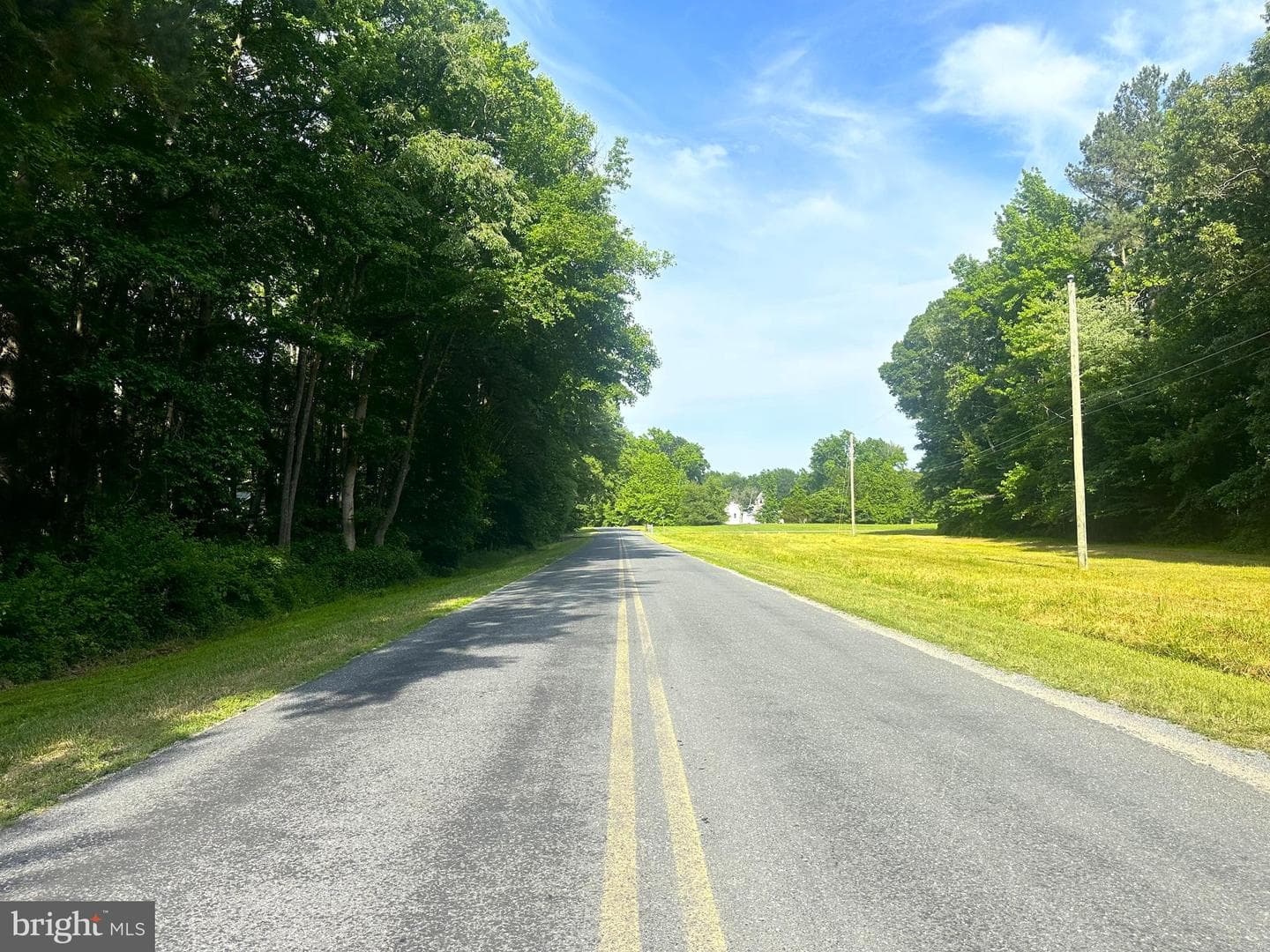 702 Coon Box Road photo 10