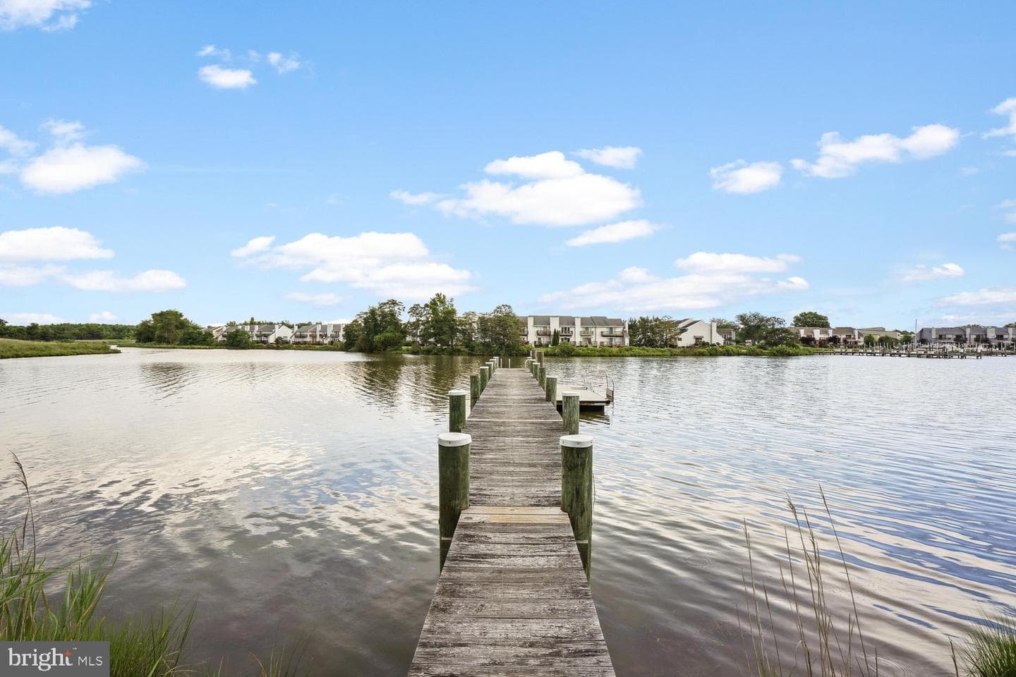 247 Breeding Boulevard photo 67