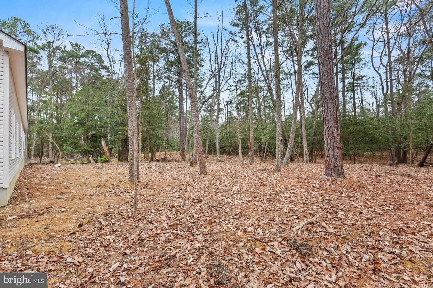 17881 Three Notch Rd photo 14