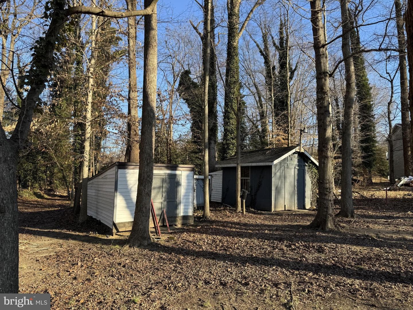 30170 Curtiss Road photo 35