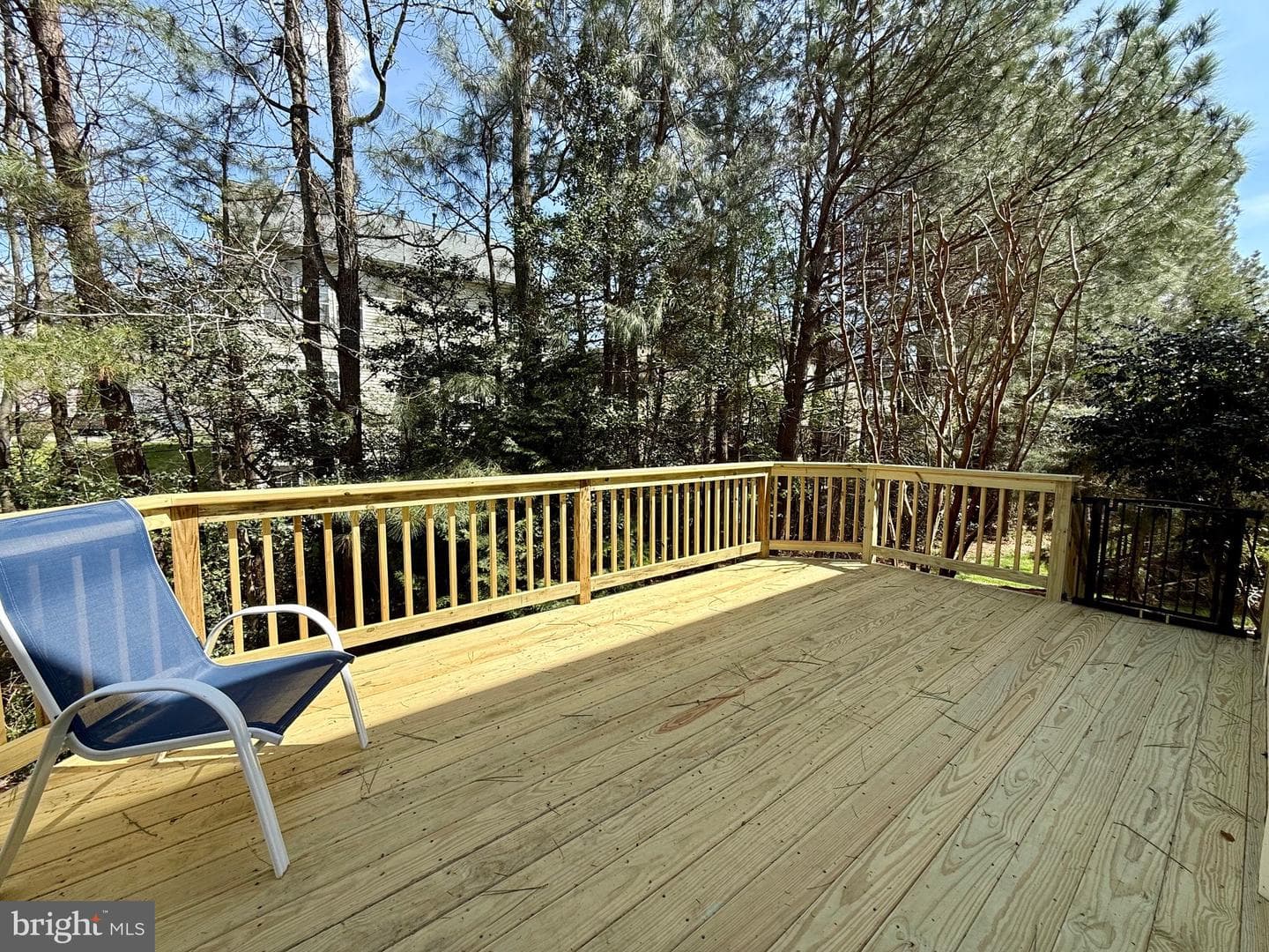 23422 Camellia Court photo 40