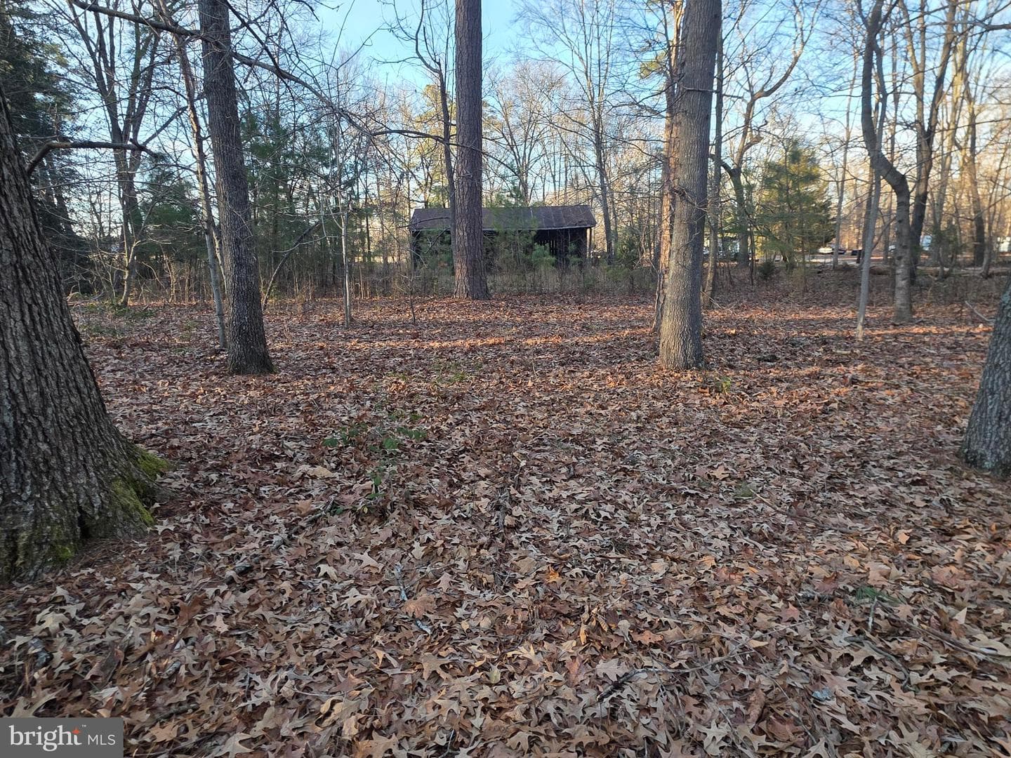 26654 Forest Hall Drive photo 51