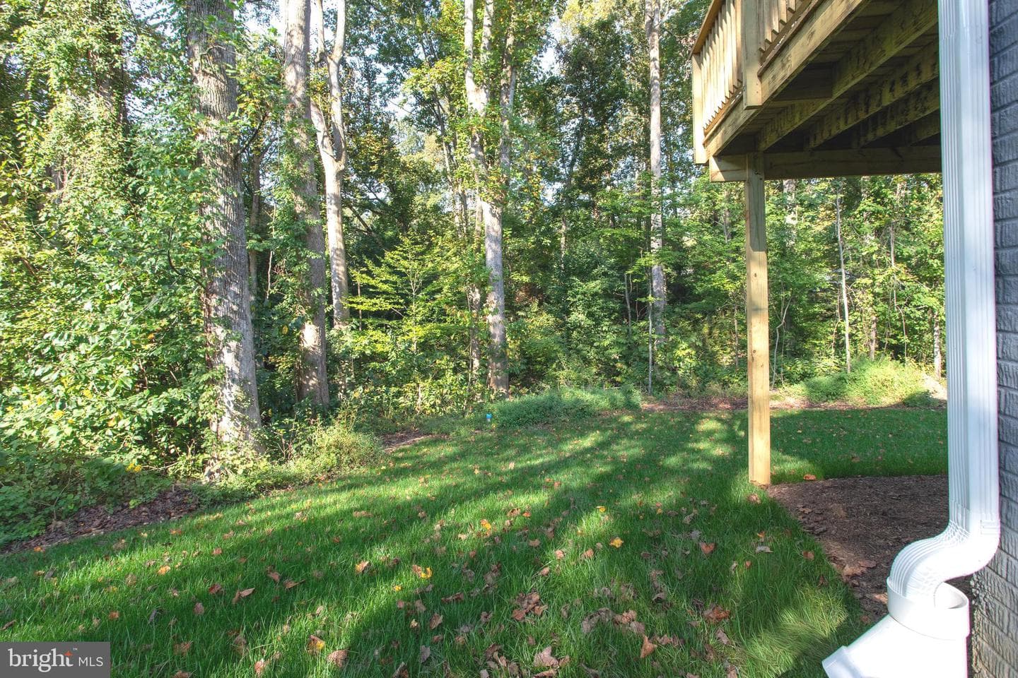 29057 Ann Circle photo 69