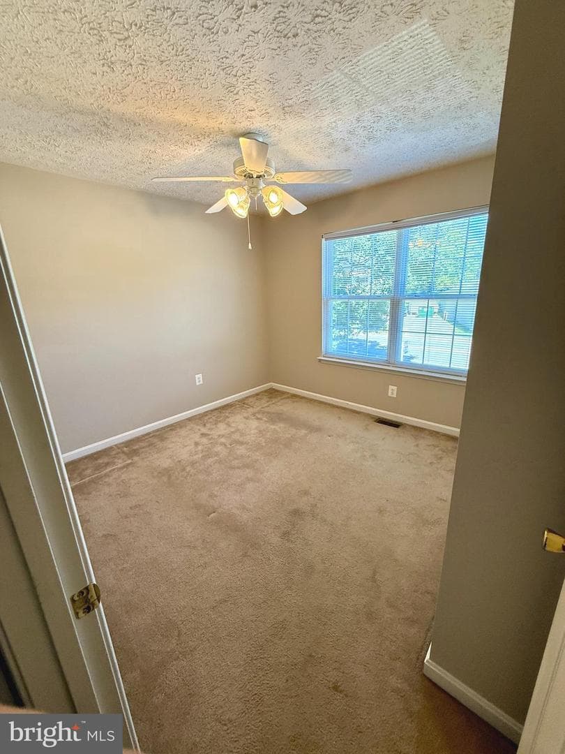 23801 Mcintosh Road photo 24