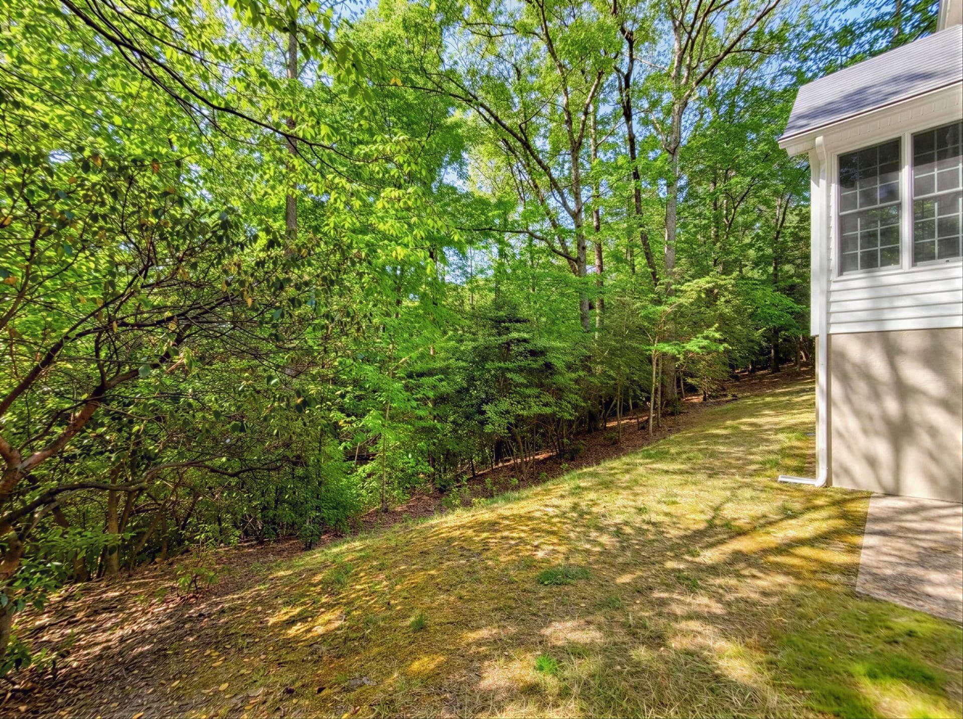 45885 Bobs Court photo 55