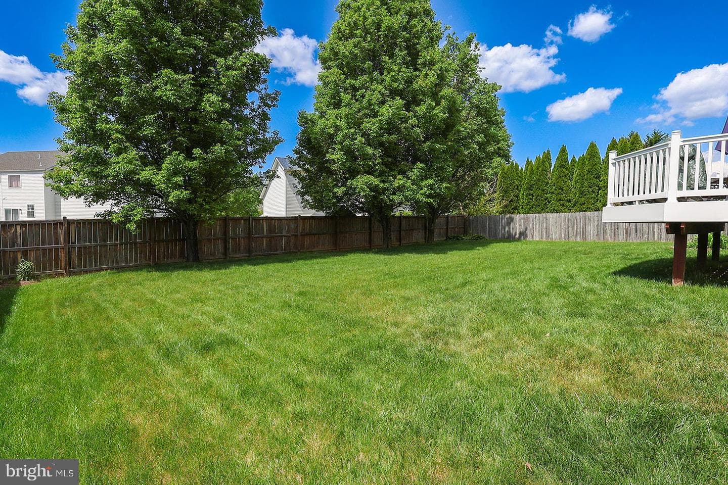 22151 Goldenrod Drive photo 53