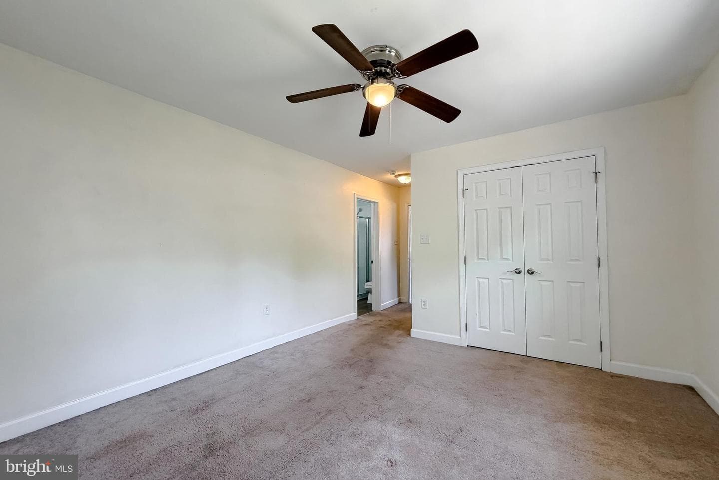 22381 Cedar Street photo 17