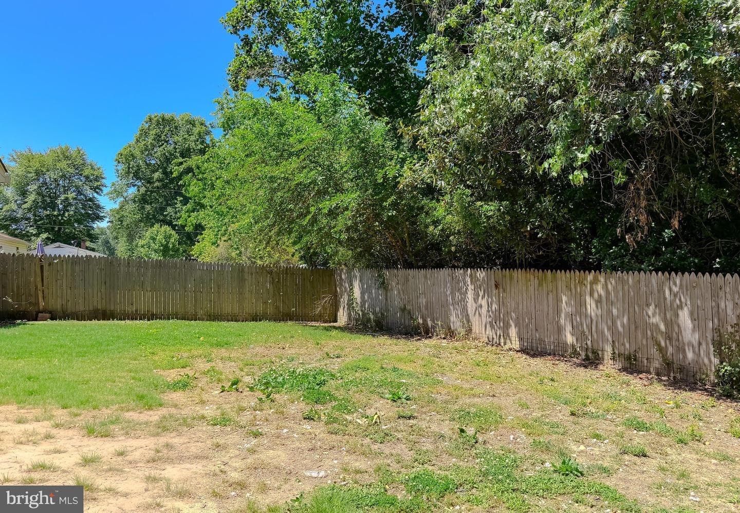 22381 Cedar Street photo 24