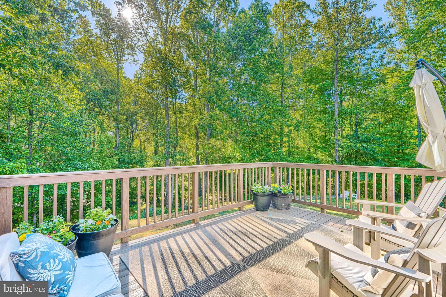30126 Edinborough Drive photo 5