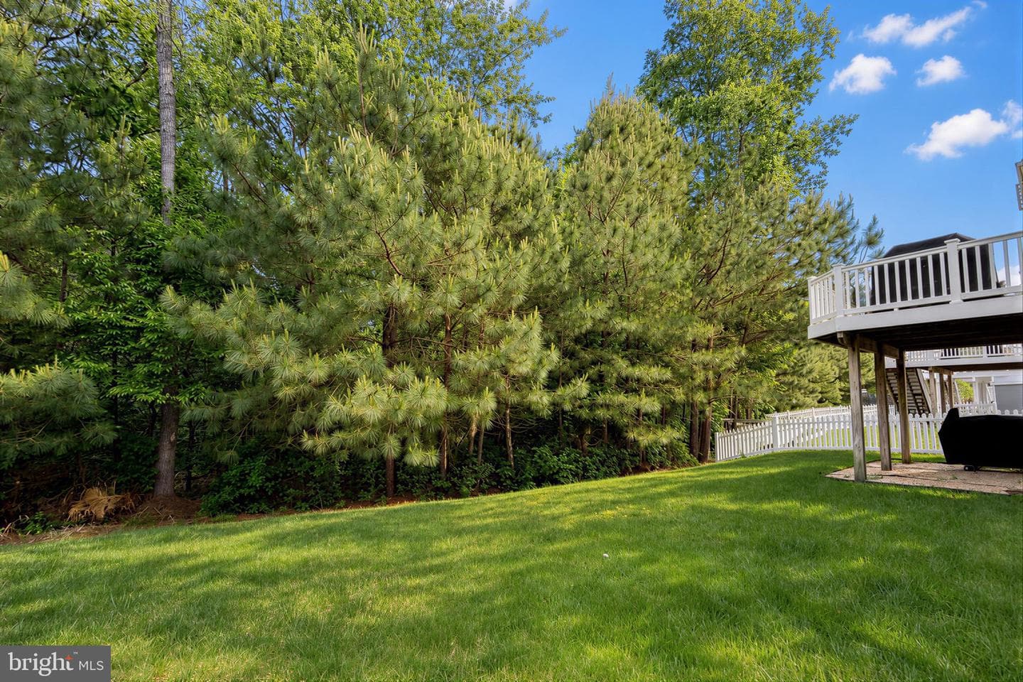 43980 Swift Fox Drive photo 57