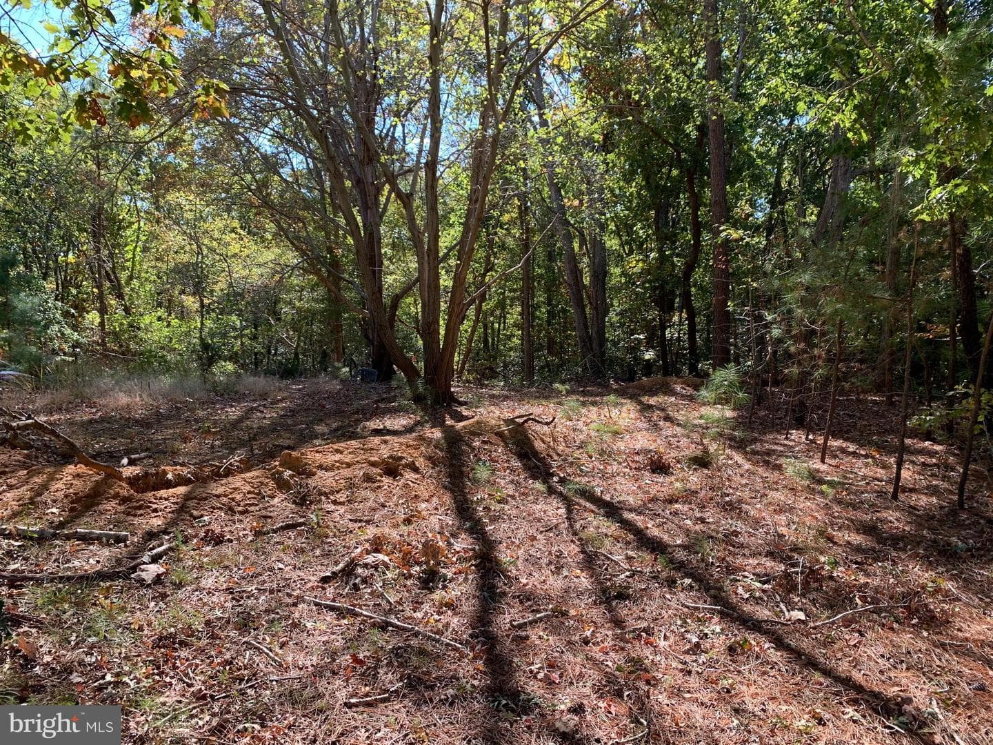 48683 Beachville Road photo 13
