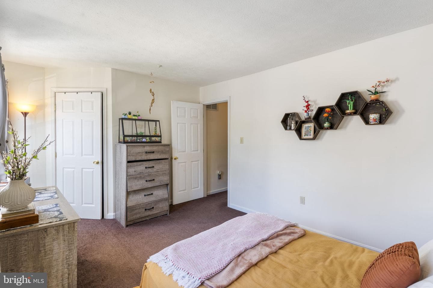 46104 Lucca Way photo 20