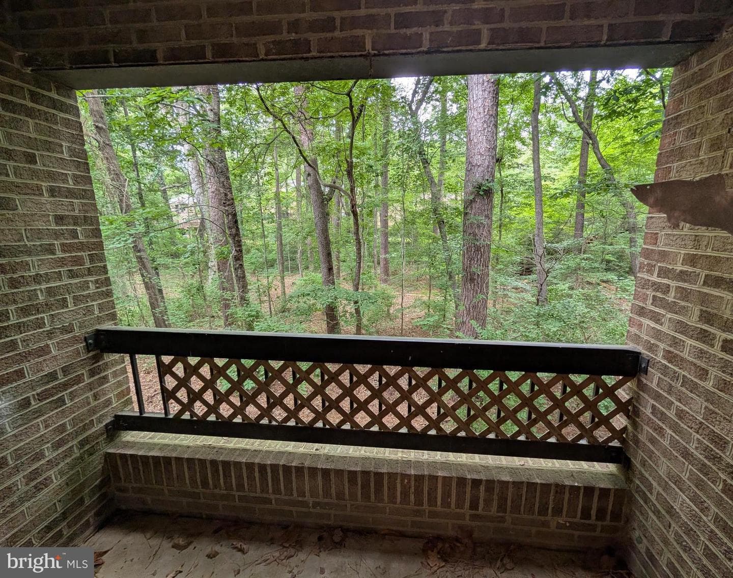 23313 Sugar Maple Court #6c photo 4