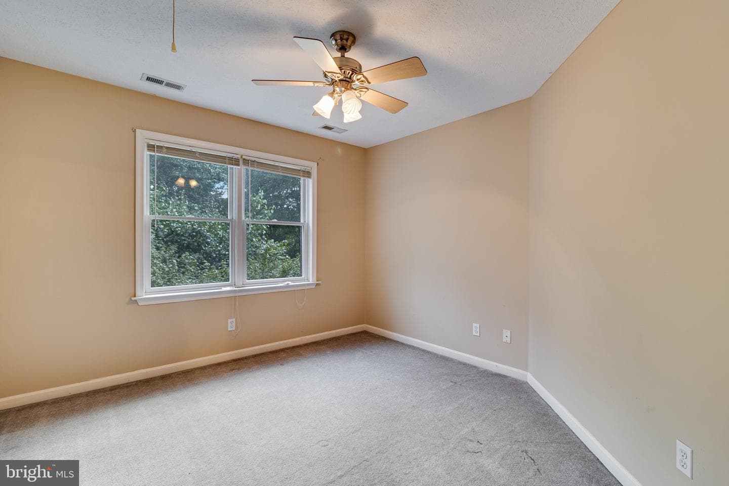 30311 Mount Wolf Way photo 34