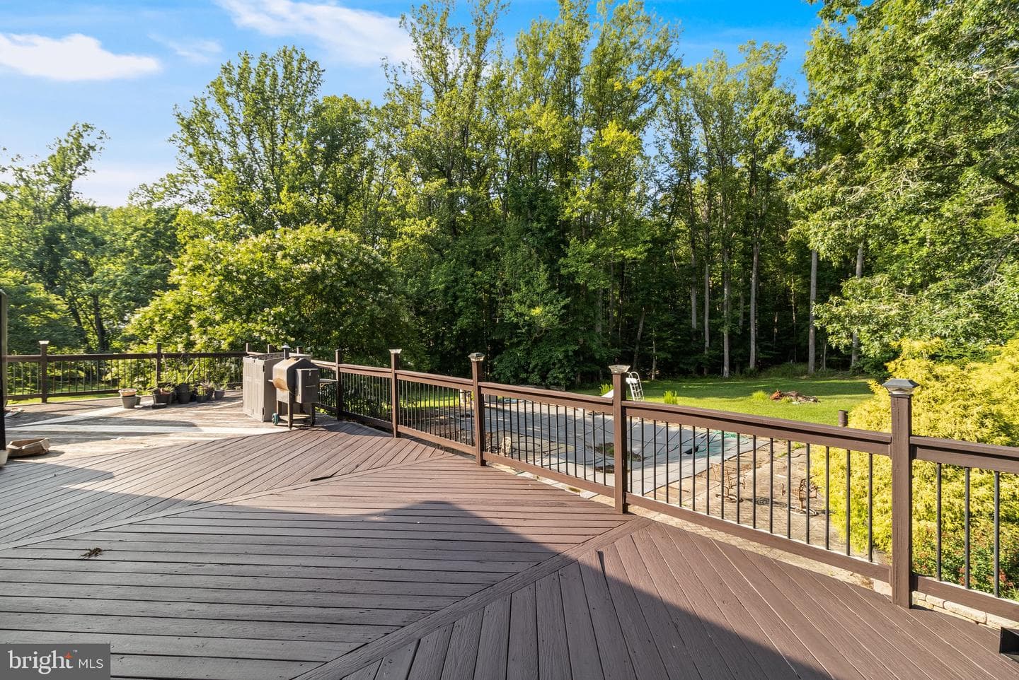 30311 Mount Wolf Way photo 43