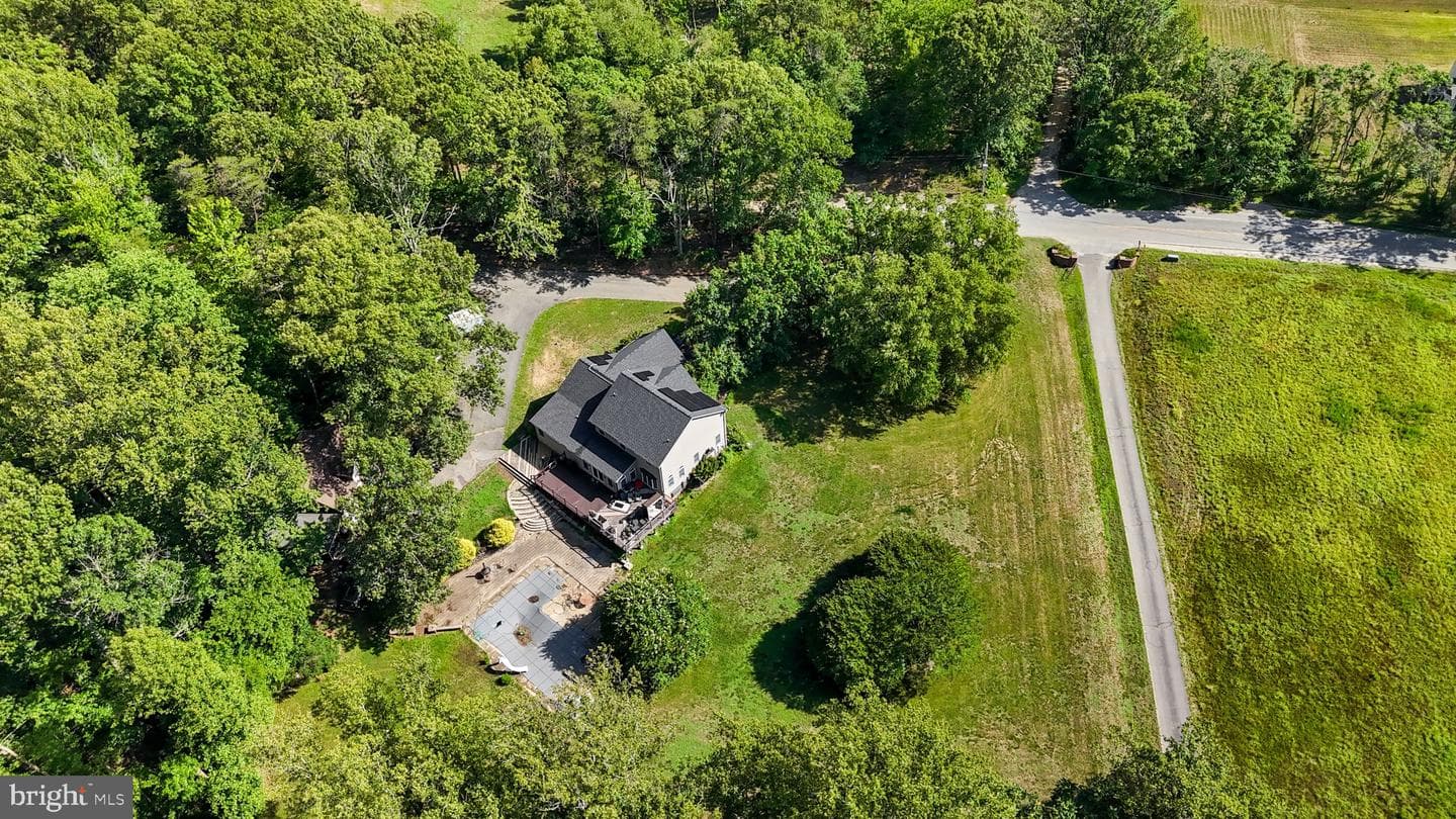 30311 Mount Wolf Way photo 53