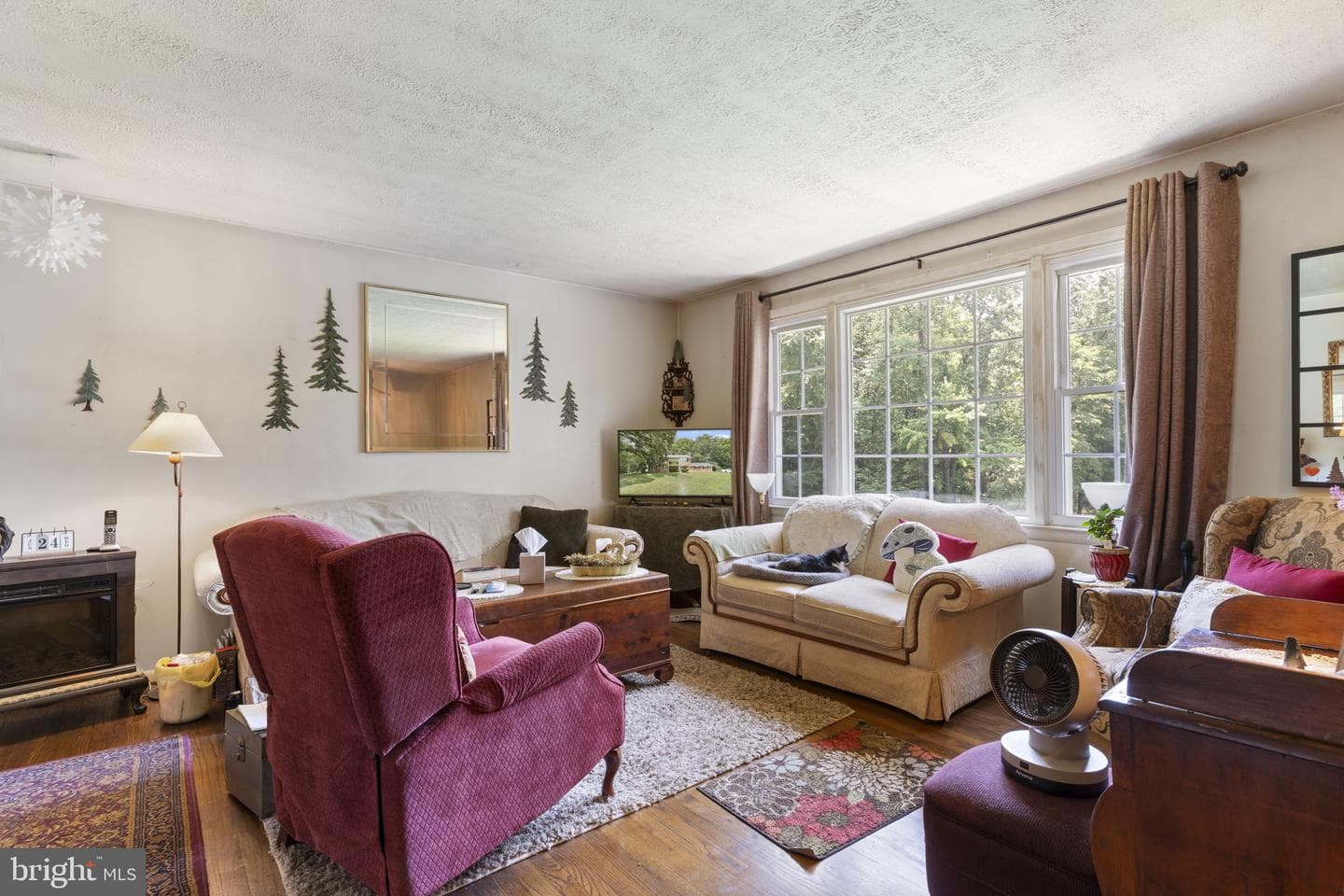37580 Asher Road photo 5