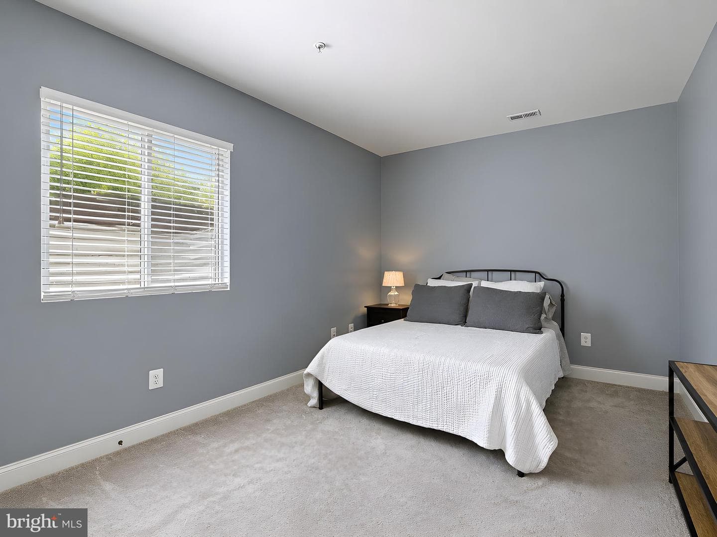 23017 Holloway Court photo 54