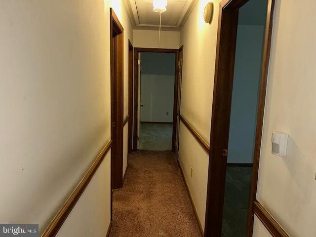 3859 Rumsey Drive photo 13