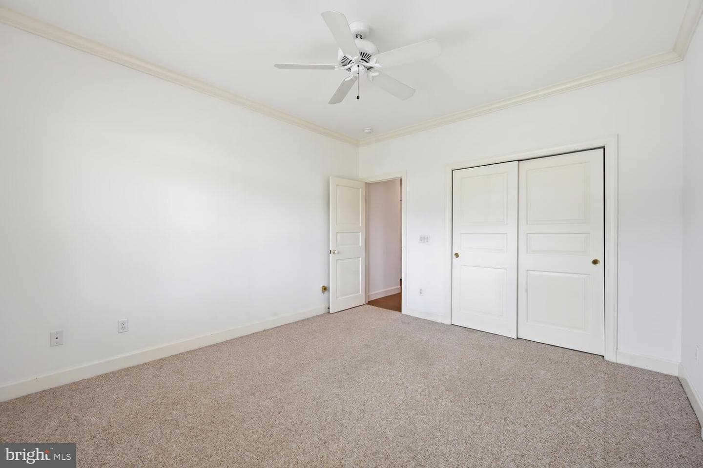28524 Augusta Court photo 20