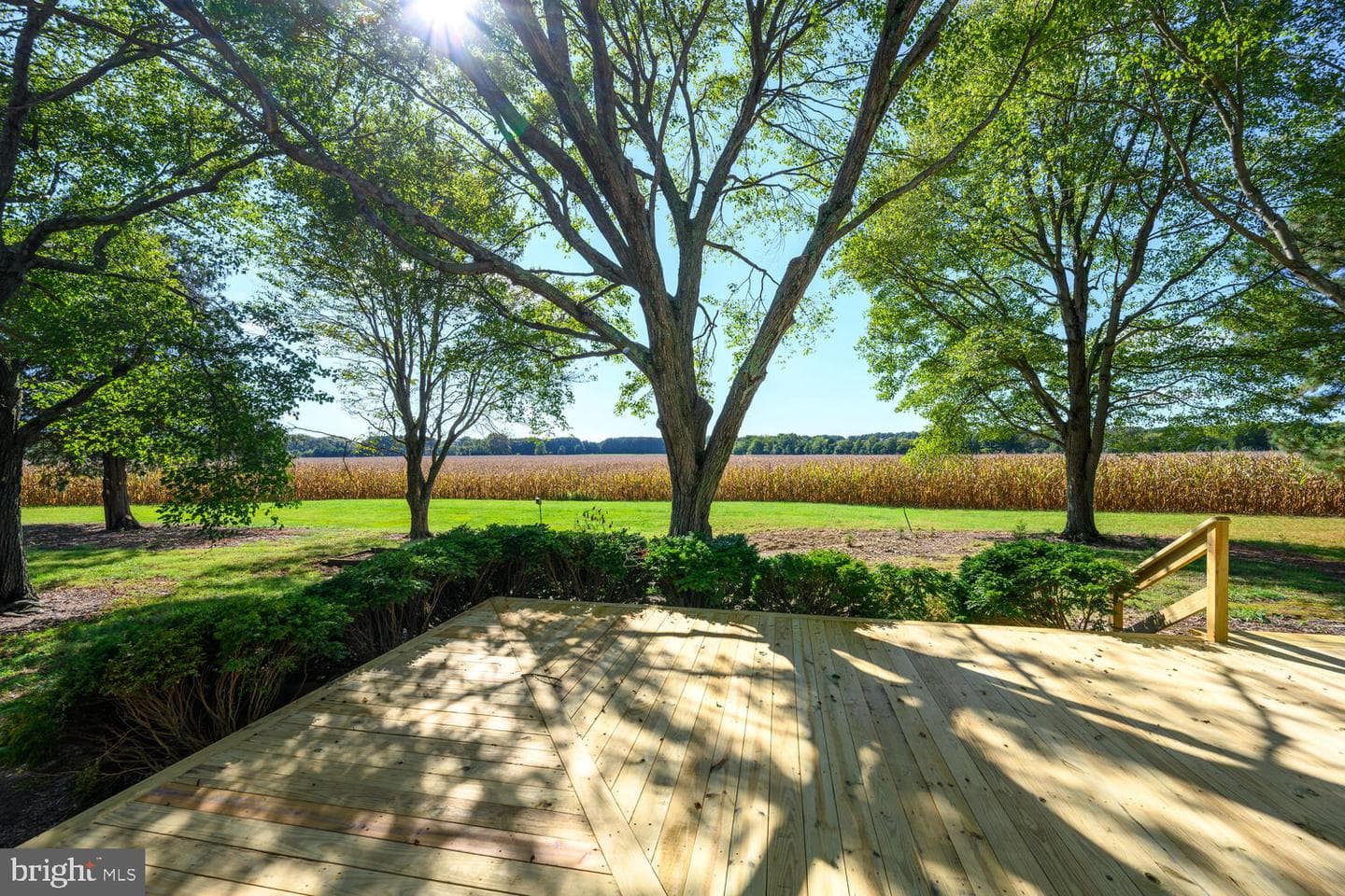 28923 Island Creek Road photo 16
