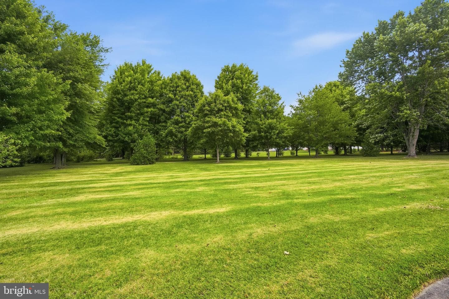 30050 Beaver Dam Road photo 6