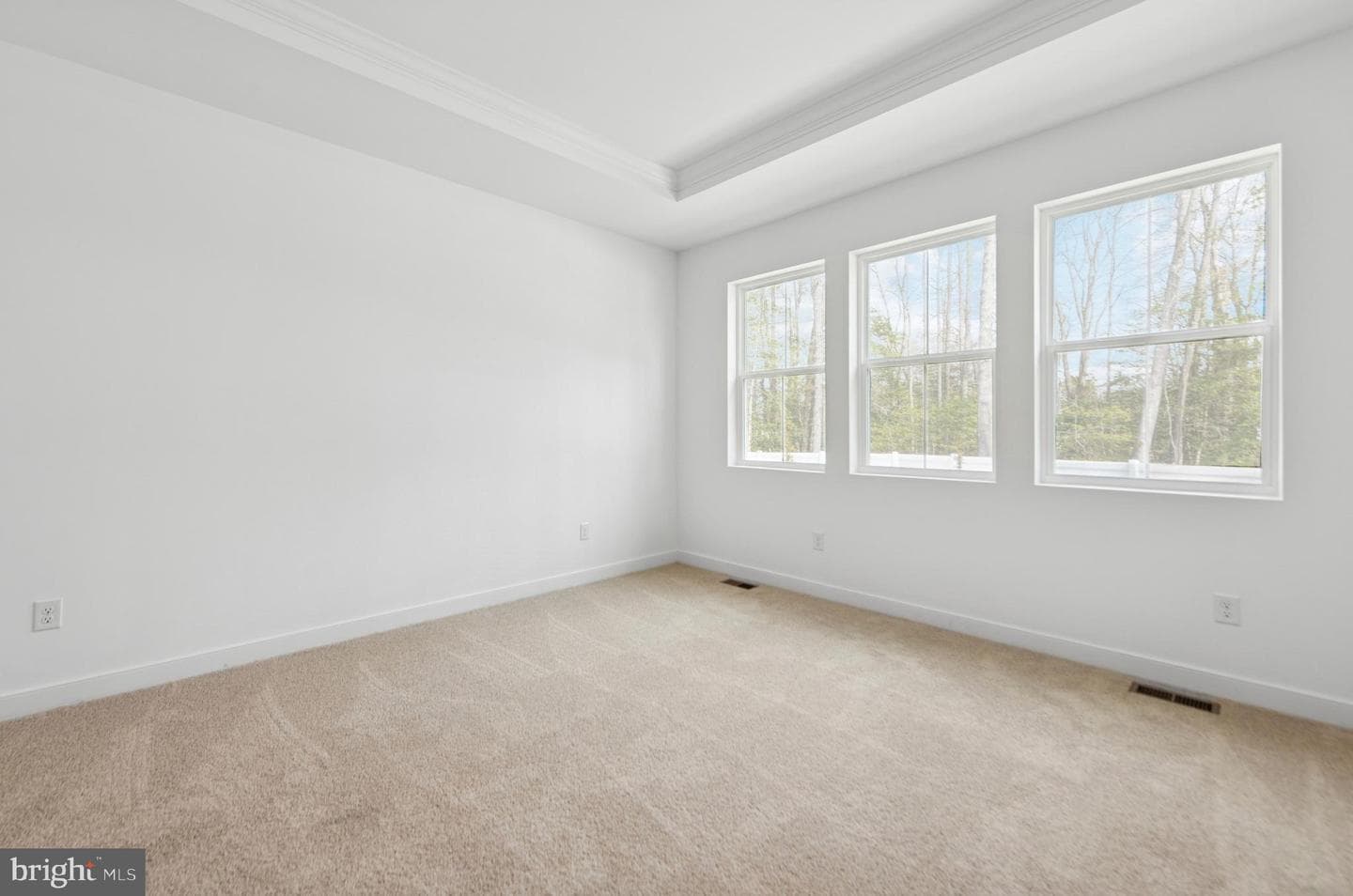 29347 Blackiston Street photo 19