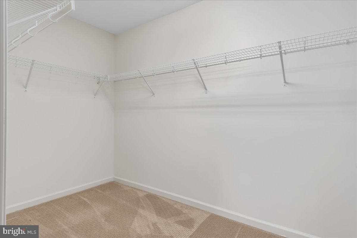 13336 Marquise Drive photo 23