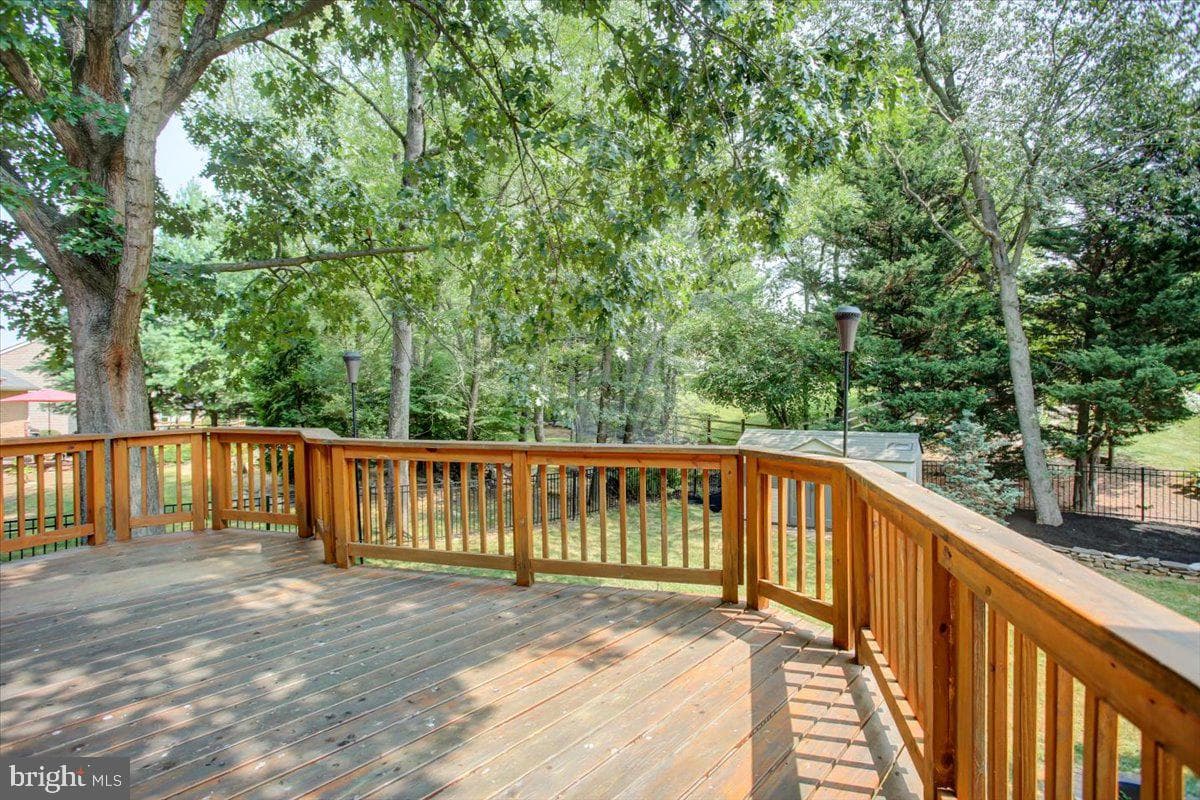 20204 Plumwood Drive photo 46