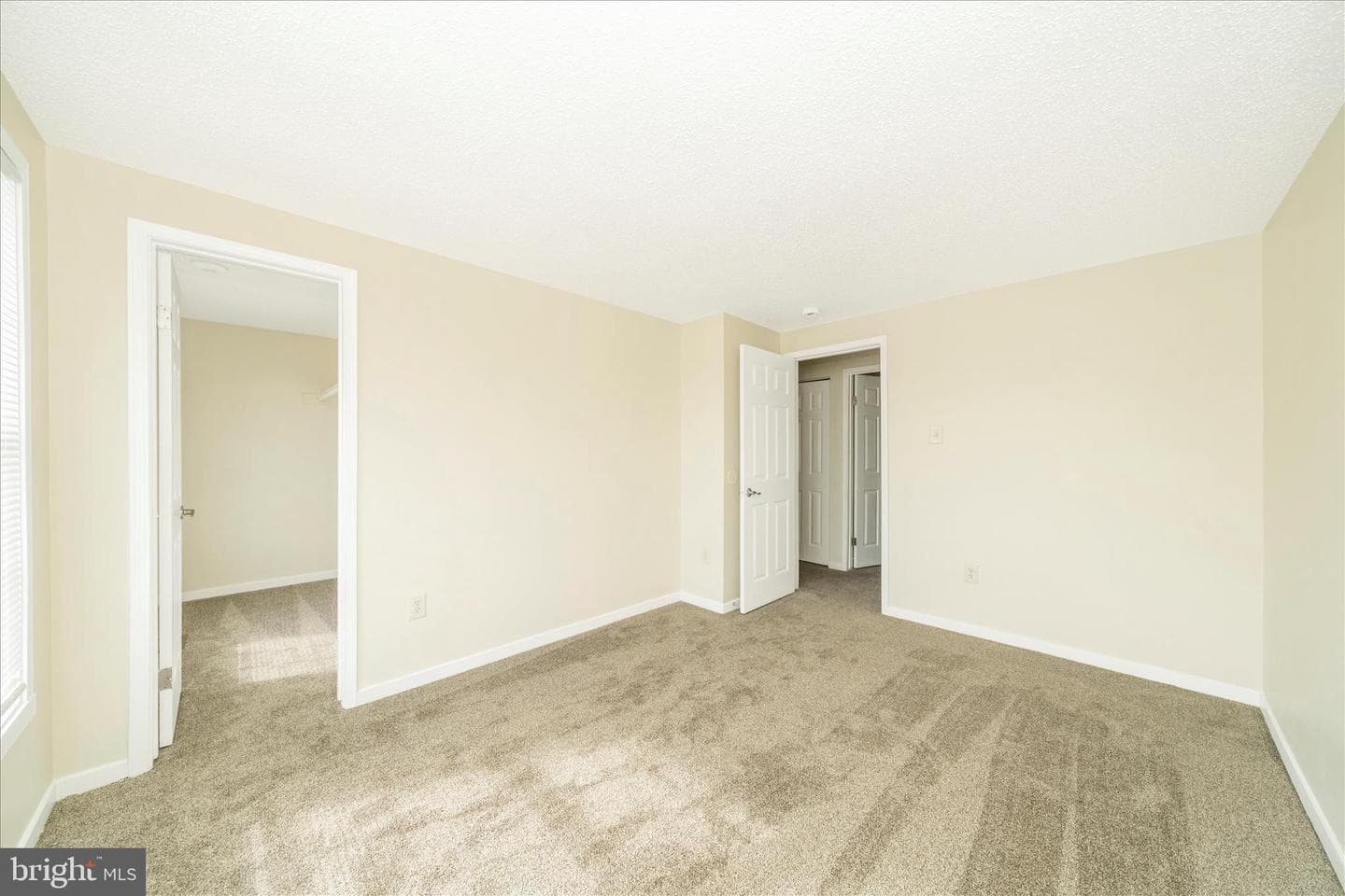 111 Tulip Court photo 17