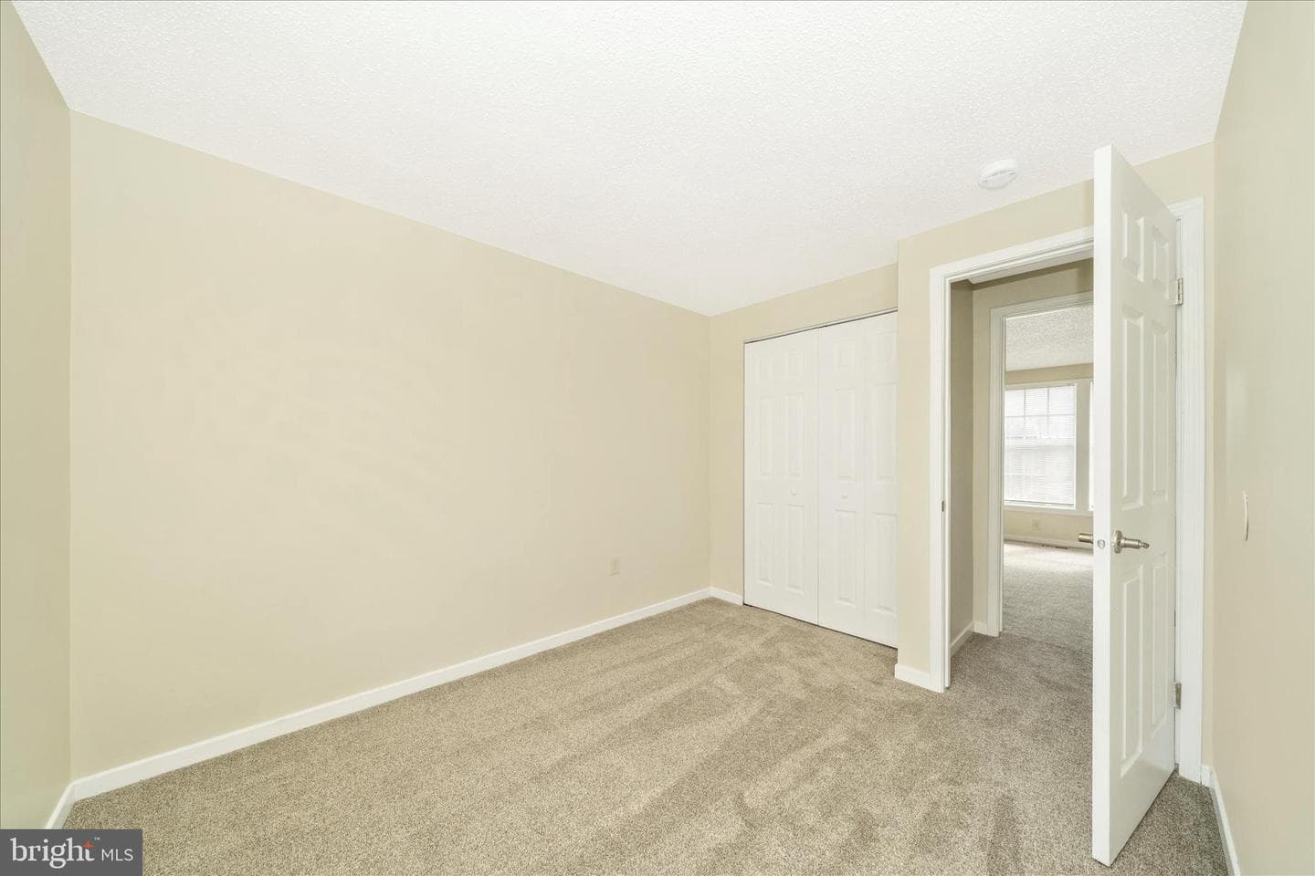 111 Tulip Court photo 21