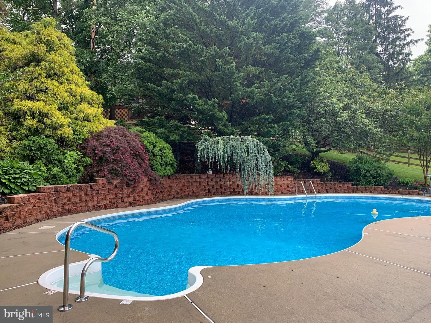 11025 Eastwood Drive photo 50