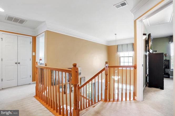 12901 Nittany Lion Circle photo 10