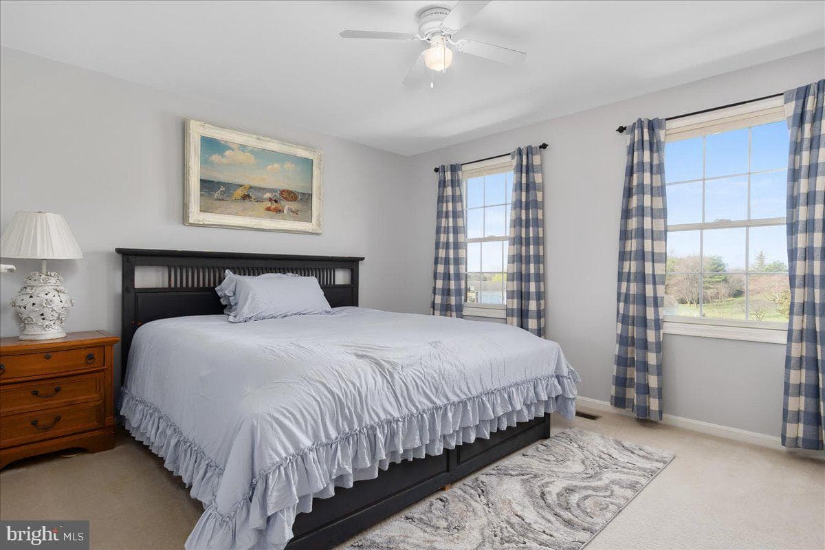 20376 Splendor View Terrace photo 28