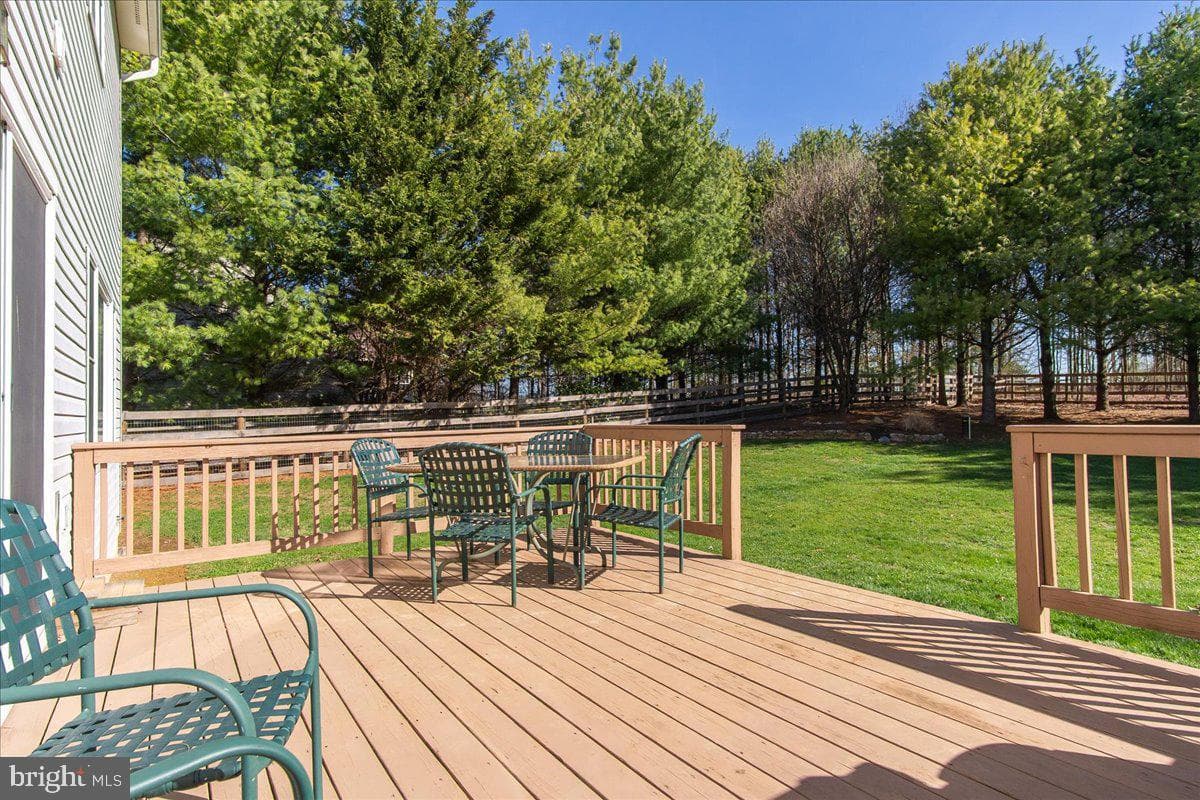 20376 Splendor View Terrace photo 38