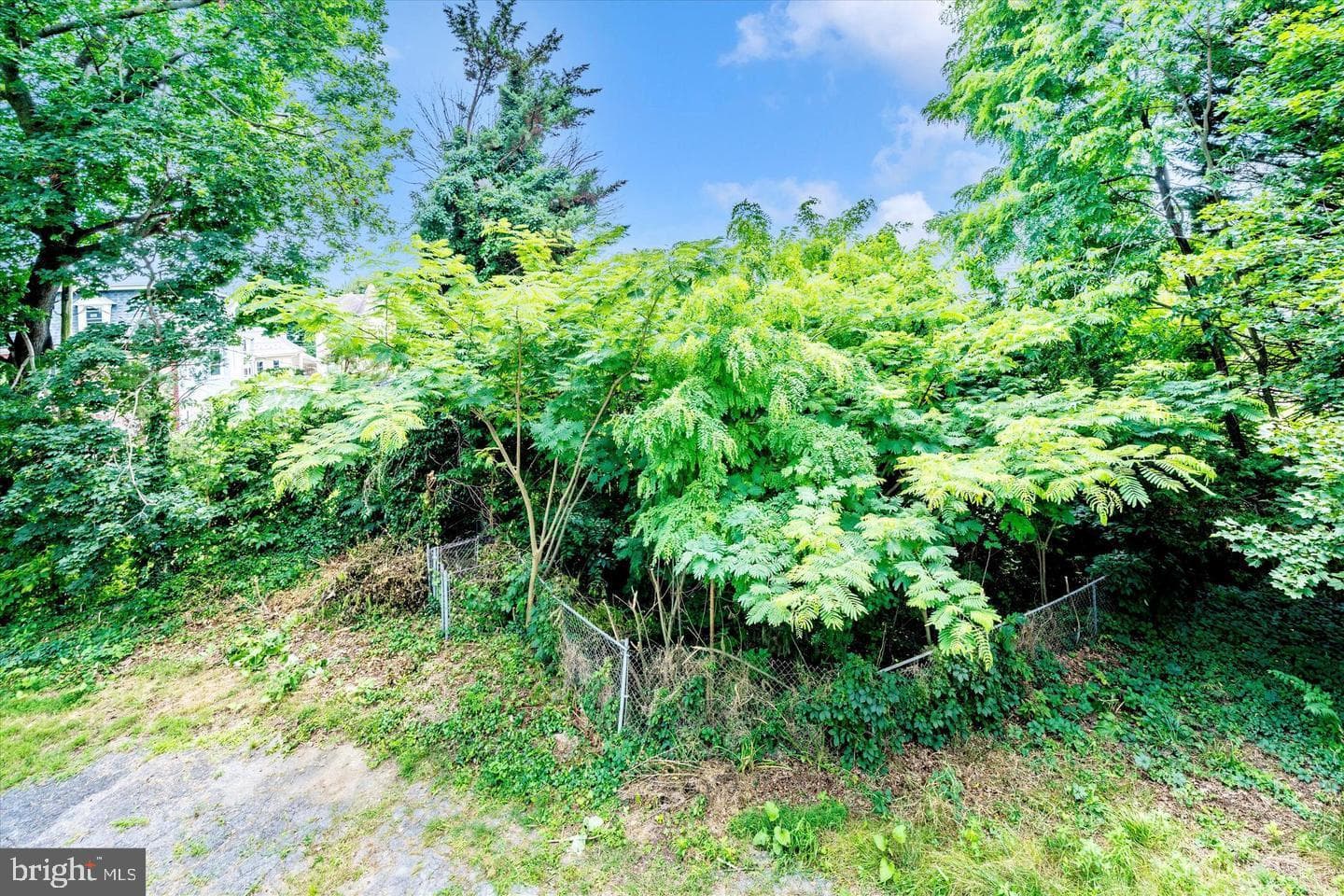 524 Virginia Avenue & Adjacent Lot photo 60