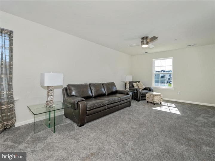 12661 Barton Drive photo 17