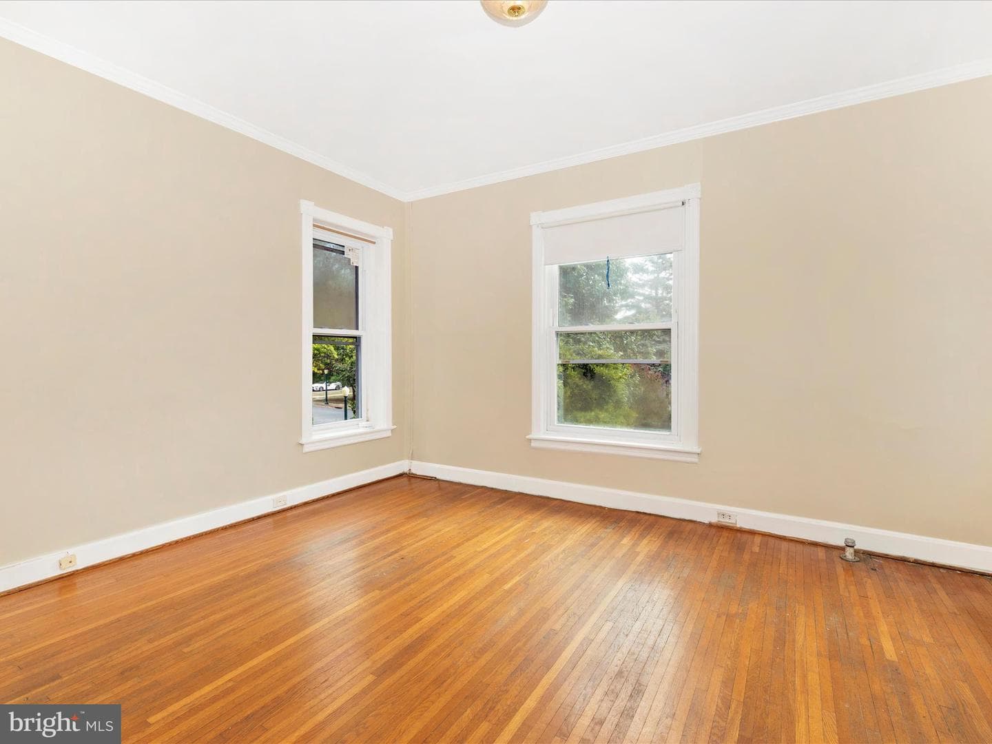 831 Oak Hill Avenue photo 46